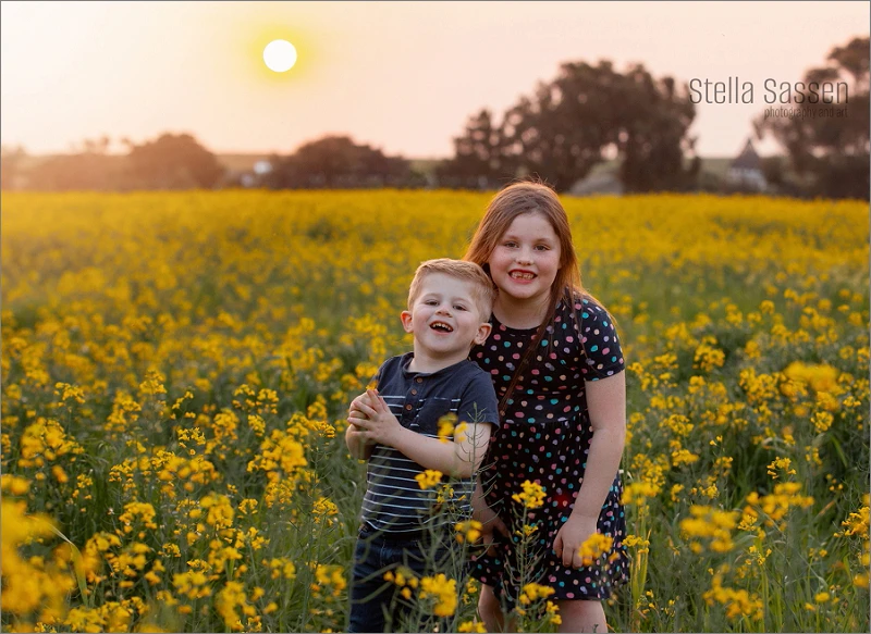 20240902 canola fields cape town 08 copy
